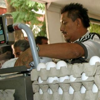 Comienza a estabilizarse el precio del huevo: CIAJ