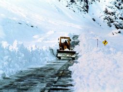 Sólo organizaciones gubernamentales e iniciativas científicas relacionadas con la Antártida tenían el dominio. ARCHIVO  /