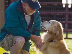 • Los perros aportan compañía, amor, comprensión, amistad, cariño y lealtad THINKSTOCK  /