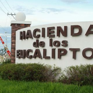 Uno de cada cinco fraccionamientos en Jalisco es irregular