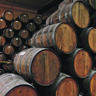 Promueve Seproe gira tequilera a la India