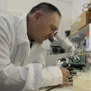 El IPN busca combatir al parásito que ocasiona diarrea