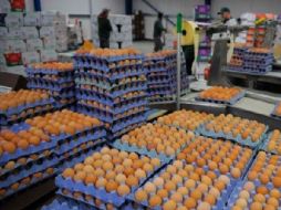 A la fecha han sido importadas entre 400 y 600 de las 800 toneladas que se requieren para consumo. ESPECIAL  /