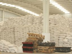 El Órgano Interno de Control y peritos en materia de química colaboraron con la destrucción. ESPECIAL  /