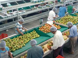 Acuerdo. Negociadores mexicanos buscan abrir mercados a productos como tequila, cerveza, carnes frutas y hortalizas. EE  /