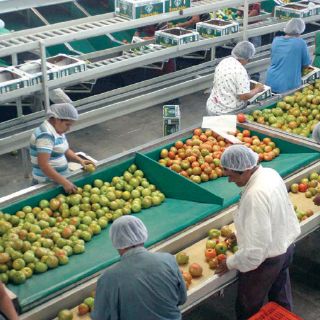 México, con cerrado sector agropecuario