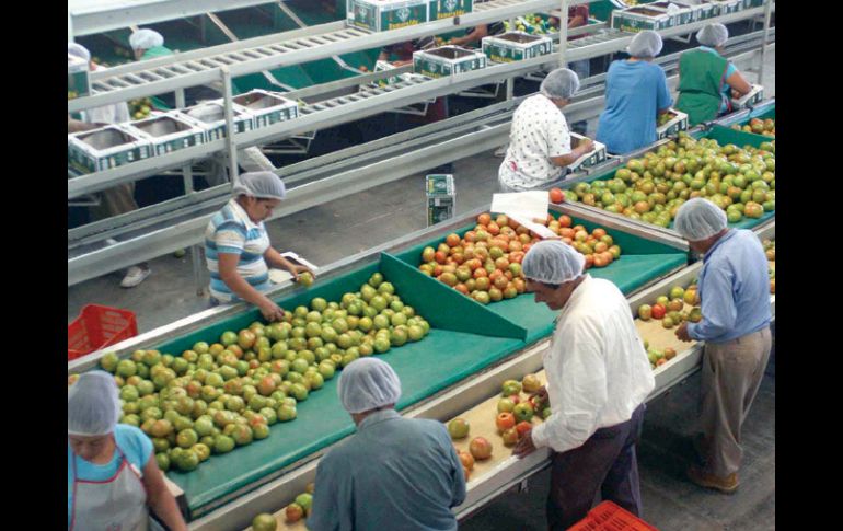 Acuerdo. Negociadores mexicanos buscan abrir mercados a productos como tequila, cerveza, carnes frutas y hortalizas. EE  /