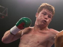 Saúl ''Canelo'' Álvarez volvió a demostrar su hegemonía como campeón Superwelter el sábado pasado. ARCHIVO  /