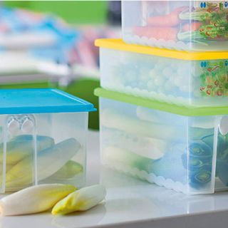 Fundéu BBVA: ''táper'', adaptación española del anglicismo ''tupper''