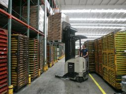 Bimbo es una de las empresas con inversión y reinversión en Brasil. ARCHIVO  /