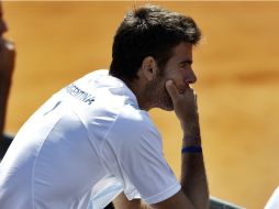 Juan Martín del Potro durante el enfretamiento de Argentina contra República Checa. ARCHIVO  /