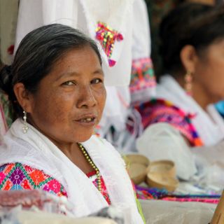 Escritora lucha por difusión de las comunidades de habla indígena