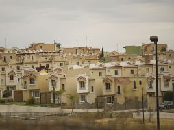 Será la iniciativa privada la encargada de la totalidad de la inversión en los proyectos de repoblación. ARCHIVO  /