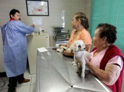 También se han impartido cursos para enseñar del trato y cuidado idóneo para un animal. ESPECIAL  /