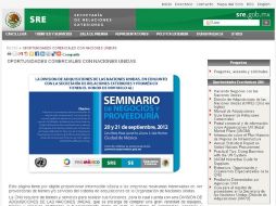 Aspecto del micrositio de la SRE sobre la promoción. ESPECIAL  /