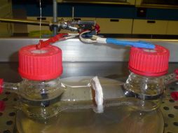 Celdas electroquímicas microbianas. ESPECIAL ID  /