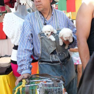Tlaquepaque implementa sistema para protección ambiental