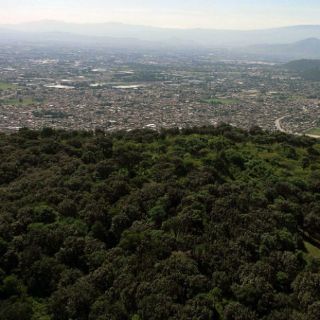 Zapopan aprueba Planes Parciales tras consulta pública