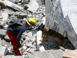 Buscan explicar los últimos eventos sísmicos sucedidos en Nicaragua. ARCHIVO  /