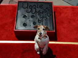 Apenas el pasado junio, Uggie plasmó sus huellas afuera del Teatro Chino de Hollywood. ARCHIVO  /