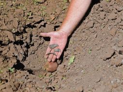 Fragmentos de proyectiles de mortero que cayeron cerca de la frontera Israel-Siria en el norte de los Altos del Golán. XINHUA  /