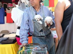 Entre otras cosas, la ley prevé incrementar multas económicas por maltrato y prohibir venta de animales. ARCHIVO  /