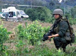 El curso incluye, además, la formación, análisis y traslado de información  de inteligencia entre los cuerpos policiales. ARCHIVO  /