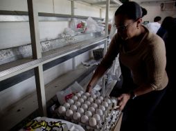 La Secretaría de Economía informó que el kilogramo de huevo bajó a 26 pesos. ARCHIVO  /