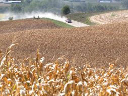 Alerta. A pesar de la situación, descartan el desabasto de granos. AP  /