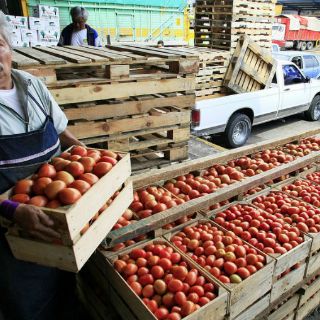 Estados Unidos negociaría otros productos en ''guerra del tomate''