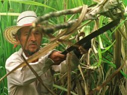 Santos se propuso restituir unos 3.5 millones de hectáreas durante su mandato de cuatro años. ARCHIVO  /