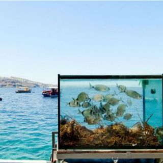 México ratifica Protocolo de Nagoya en pro de biodiversidad