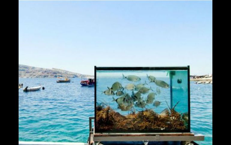 El Protocolo de Nagoya es complementario al de Cartagena sobre Seguridad de la Biotecnología, adoptado en 2000. ESPECIAL  /