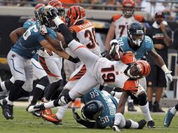 La defensiva de Jacksonville no pudo detener a los Bengalíes durante el partido. AP  /