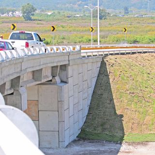 Talan 172 eucaliptos por Nodo Vial Siglo XXI