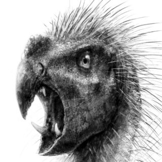 Descubren nueva especie de dinosaurio enano