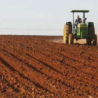 Presupuesto del agro 2013 será avalado por equipo de transición