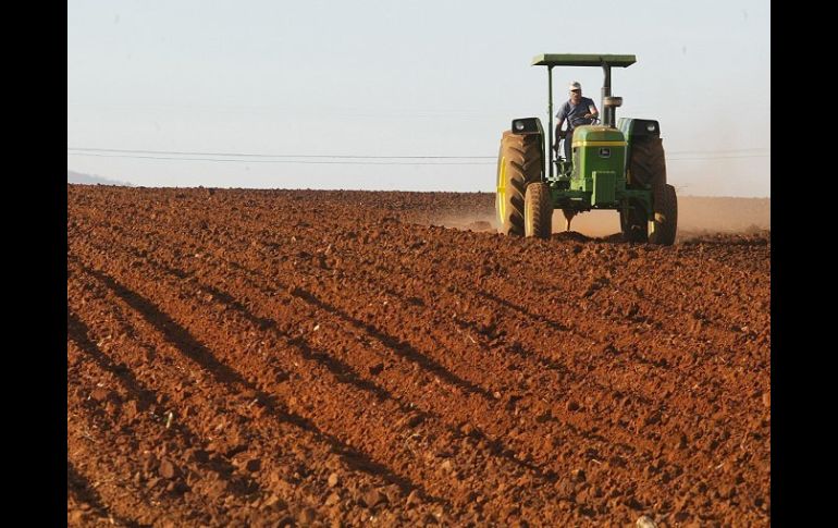 Por lo general el presupuesto destinado al campo suele tener a favor el respaldo de los legisladores. ARCHIVO  /