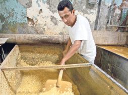 Tras dos meses estable, el Índice de la FAO para los precios de los alimentos aumentó ligeramente en septiembre de 2012. ARCHIVO  /