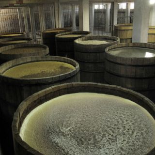 India reconoce denominación de origen del tequila