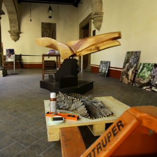 Troncos que se vuelven esculturas