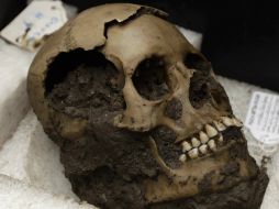 Uno de los cráneos encontrados en la Plaza Manuel Gamio. AFP  /