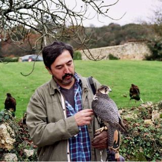 La cetrería, el reto de si el ave se fugará o se quedará