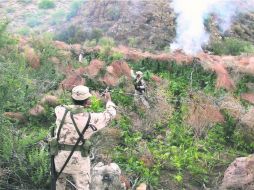 Militares queman mariguana en Baja California. Los agricultores ahora siembran pequeñas porciones para no levantar sospecha.ELUNIVERSAL  /