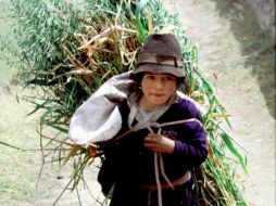 Los matrimionios prematuros constituyen una violación a sus derechos y discriminación de género. ARCHIVO  /