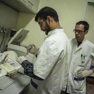 Grupo PEW crea Laboratorio de Homeostasis Energética