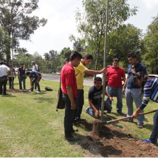 Empresa guatemalteca premiada por protección del medio ambiente