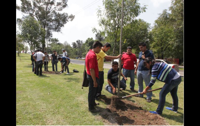 Los árboles se sembraron durante el programa de desarrollo de los Encadenamientos Empresariales que impulsa la institución. ARCHIVO  /