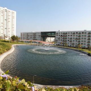 Garantizan condiciones idóneas para vivir en Villa Panamericana