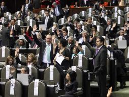 El pleno de la Cámara de Diputados rechazó interponer la controversia. ARCHIVO  /